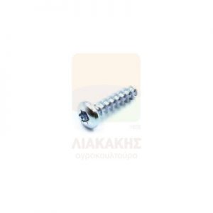 Πλαστικόβιδα Torx 4×16mm | Agrotechnic